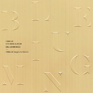 双手脚铐口球锁入笼子文
