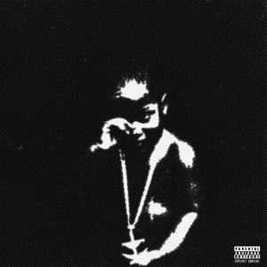 双手脚铐口球锁入笼子文
