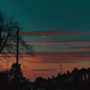 双手脚铐口球锁入笼子文
