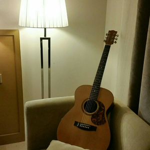 双手脚铐口球锁入笼子文
