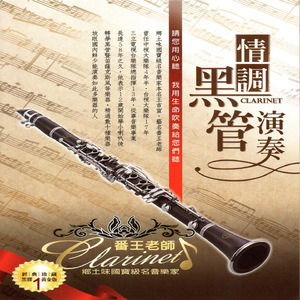 双手脚铐口球锁入笼子文
